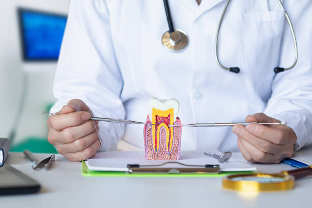 Best Broken or Chipped Tooth Repair in Arlington Heights, WA